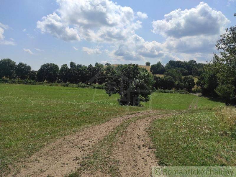 Countryside with a dirt road surrounded by grass and trees. Land, living in nature.