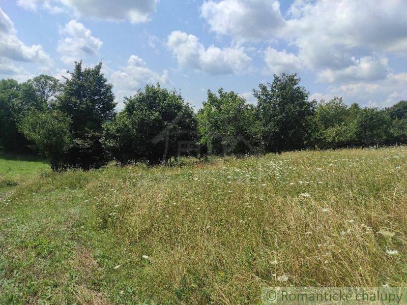 A spacious grassy plot with wildflowers, suitable for peaceful living.