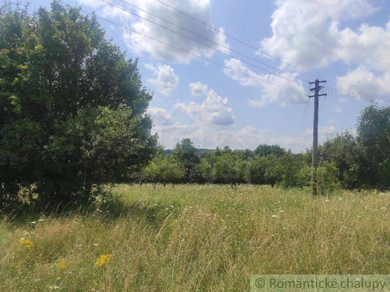 A meadow with an electric pole, surrounded by trees, ideal for residential plots.