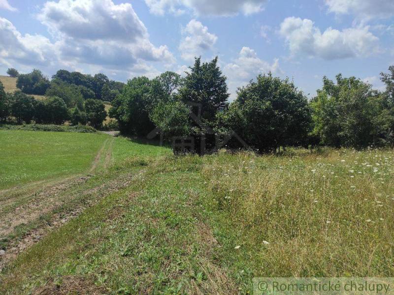 Greenery and grassy plots suitable for living and recreation in the heart of nature.