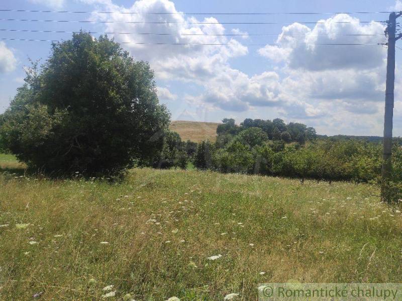 A meadow with blooming flowers, trees, under a blue sky, suitable for residential plots.