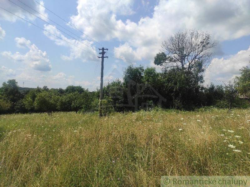 A grassy plot with an electric pole, ideal for living, sunny location, trees.