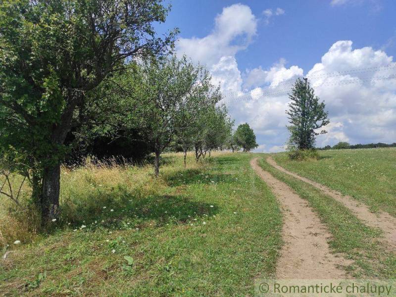 A dirt road surrounded by trees and meadows, perfect for peaceful living.