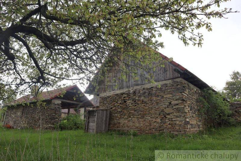 A family house with a stone facade and a green lawn under the trees.