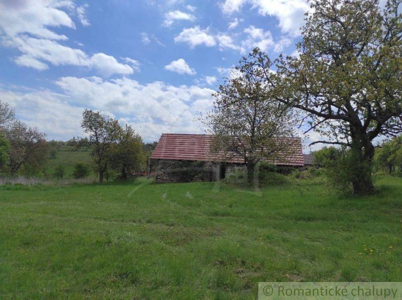 A landscape with a house surrounded by trees, meadows, and a blue sky.