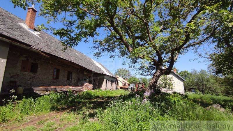 A family house in the countryside surrounded by greenery and trees in the garden.