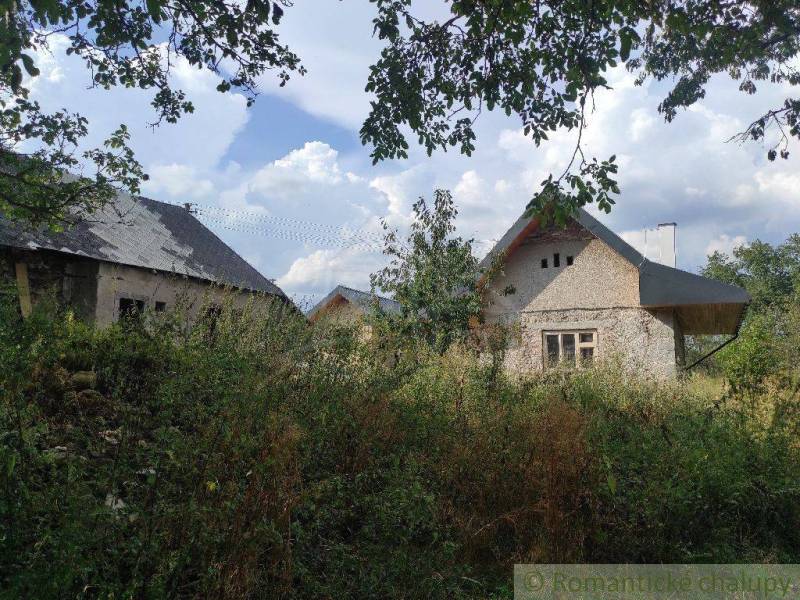 A cottage hidden among trees, surrounded by lush flora, an ideal family home.