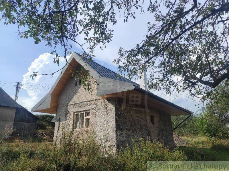 A country house surrounded by greenery, with a tin roof and an old window.