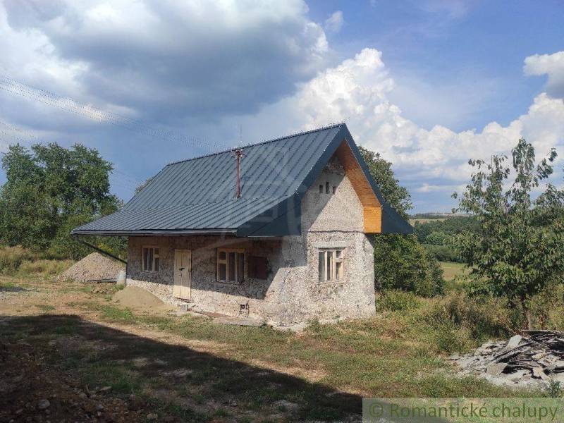A stone family house with a sloped metal roof, surrounded by nature and trees.