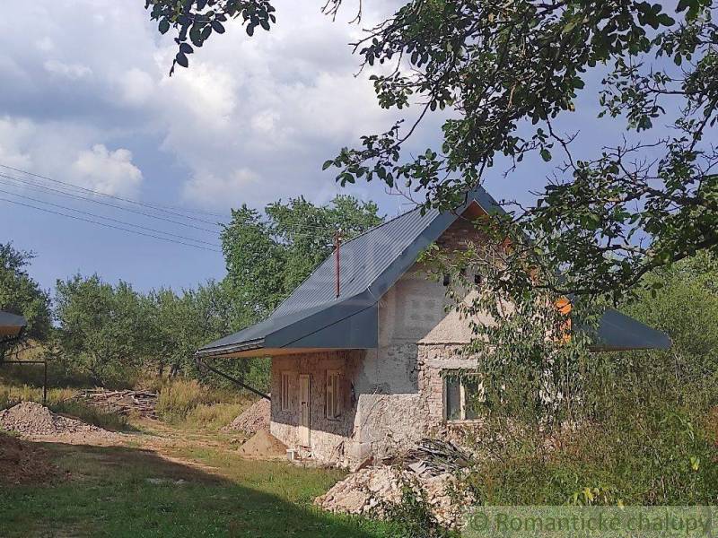 A family house under the trees, surrounded by nature and bordered by greenery.