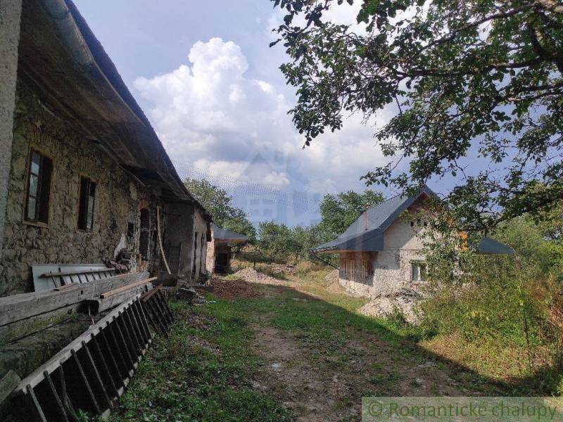 A stone cottage with a metal roof surrounded by a garden and a family house on the property.
