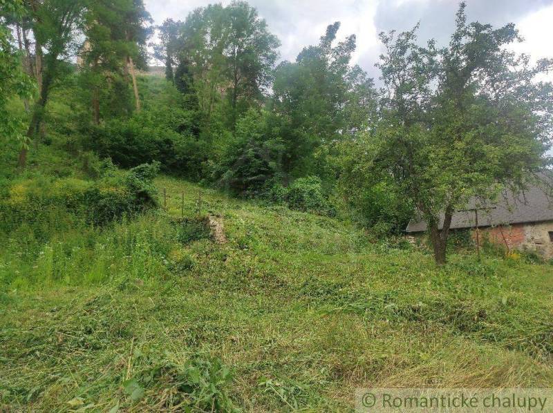 The image shows a sloped plot of land with greenery and trees suitable for living.
