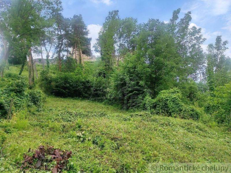 A large greenery surrounds the plot suitable for living in a picturesque environment.