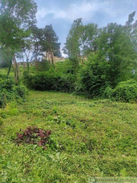 Spacious plots ideal for living, surrounded by greenery and forest environment, slightly hilly.