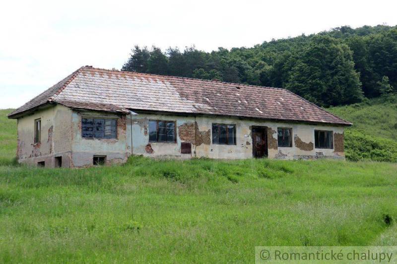 An old house with damaged plaster stands on a green meadow near the forest.