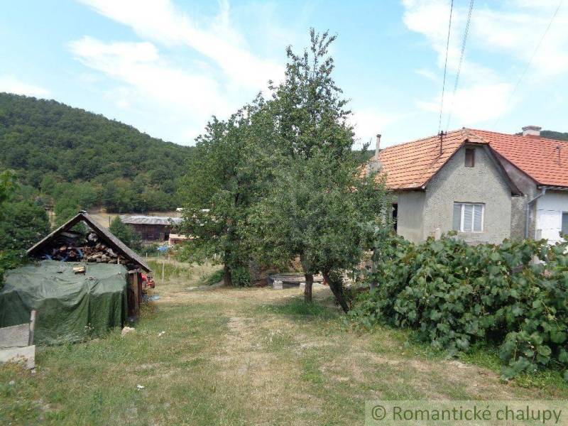 A family house with a red roof, a tree, a woodshed, a garden in the countryside.