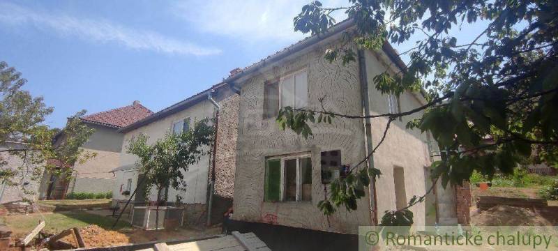 The picture shows a family house with unplastered walls, surrounded by a garden.