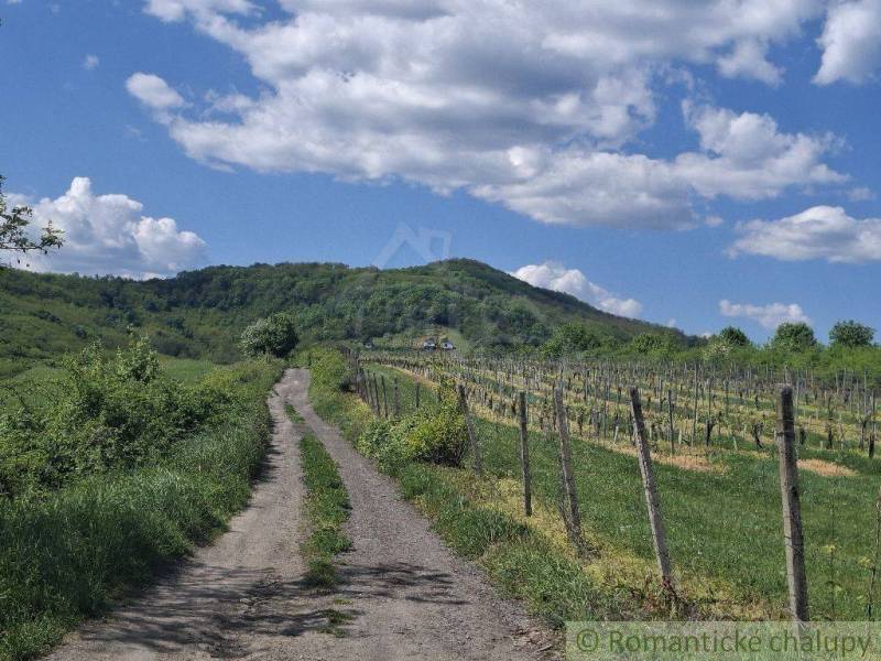 A dirt road next to vineyards in the vicinity of Veľký Krtíš, near a cottage on the slope.