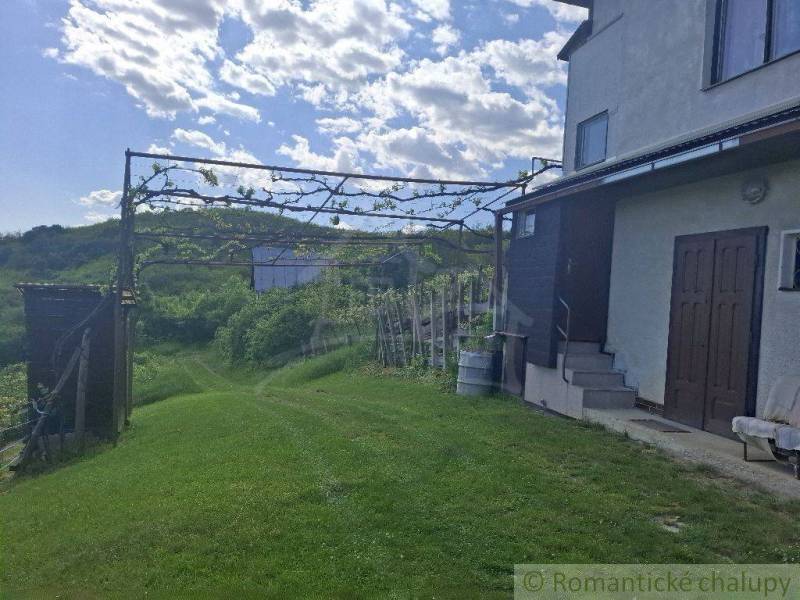 A cottage in Veľký Krtíš with a lawn and vineyard in the countryside under a clear sky.