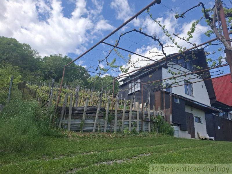 A cottage in Veľký Krtíš surrounded by vineyards and greenery under a blue sky.