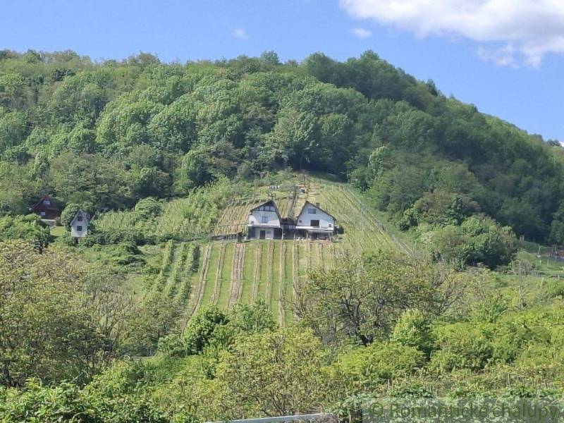 A cottage in Veľký Krtíš surrounded by vineyards and green hills under a blue sky.