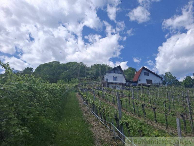 A vineyard with a cottage near Veľký Krtíš, blue sky with clouds.