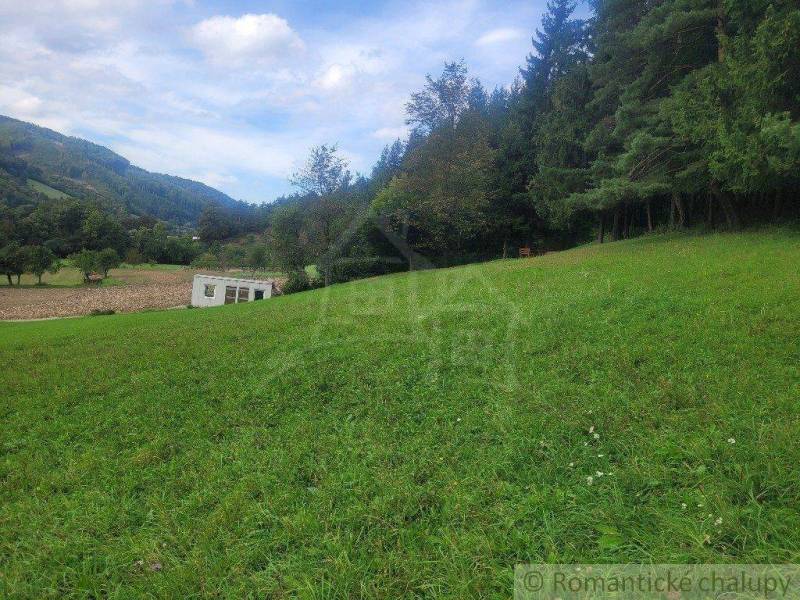 A sloping meadow with a forest, open landscape, and blue sky, ideal for gardens.