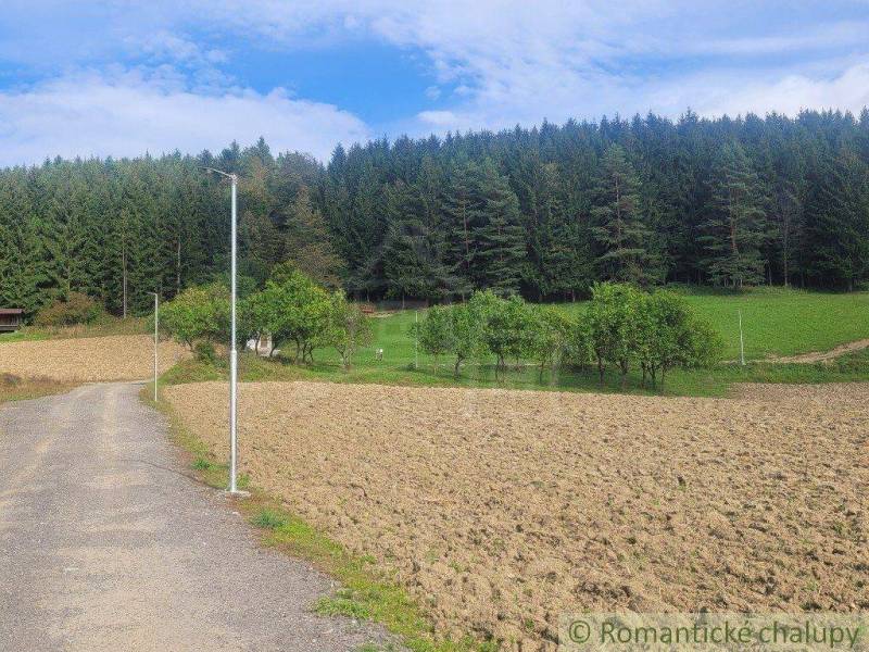 A country road next to a forest, fields and gardens with fruit trees in nature.