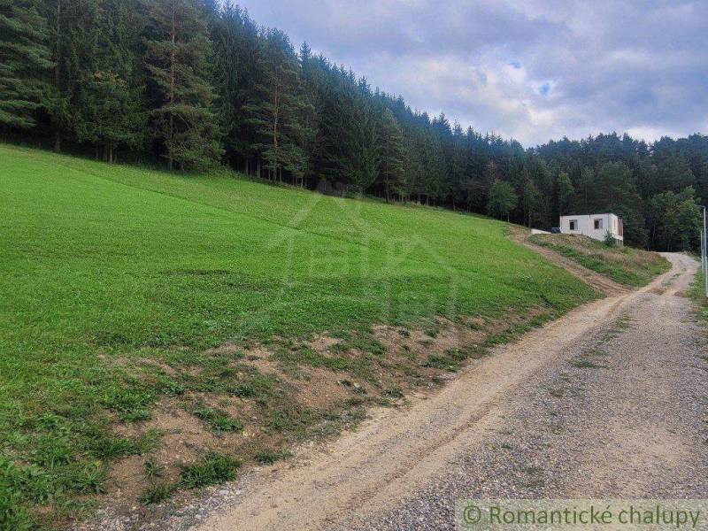 A green meadow with countryside and forest, a short distance from the road, in nature.