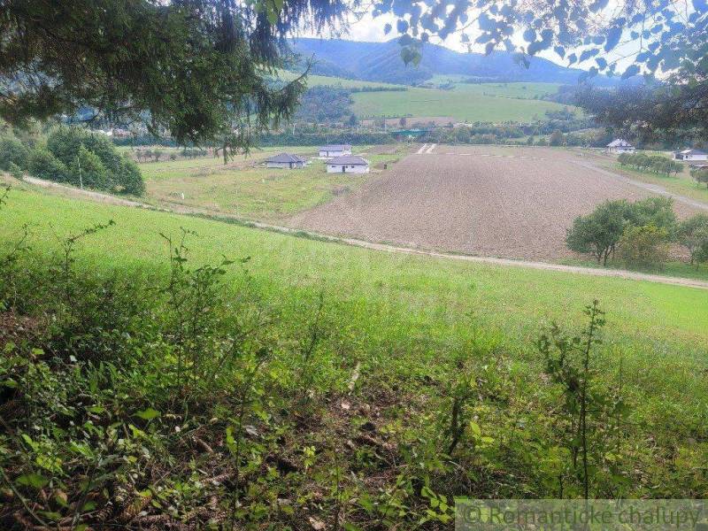 A valley with a field, houses and trees in the background, nature and gardens complete the scenery.
