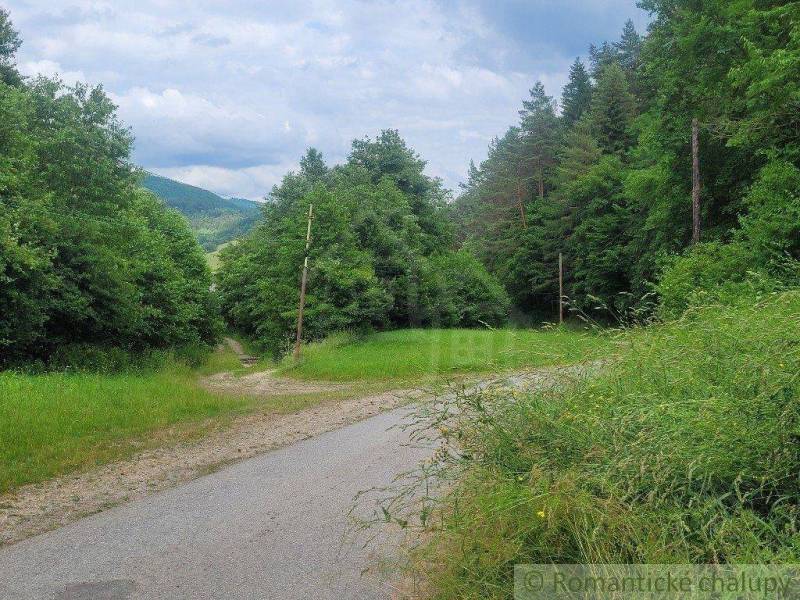 A forest road surrounded by agricultural and forest lands, a natural landscape with hills.