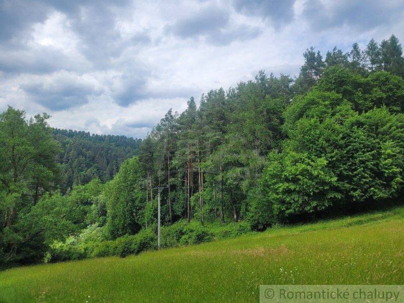 Hilly agricultural and forest lands full of dense forest and green grass under a cloudy sky.