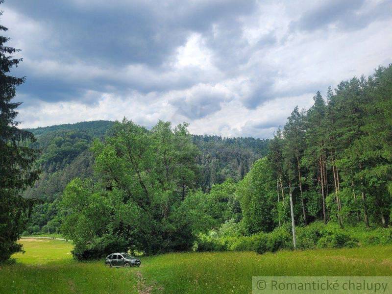 A car parked near the forest, surrounded by agricultural and forest land, the sky overcast.