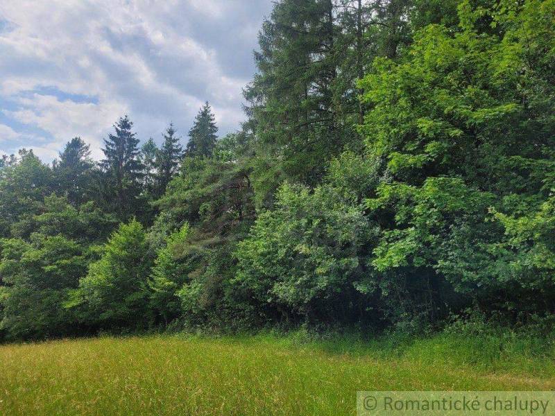 A meadow surrounded by dense forest in the area of agricultural and forest lands.