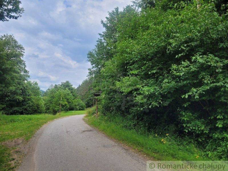 The path runs alongside forest lands with a dense green edge in the background.