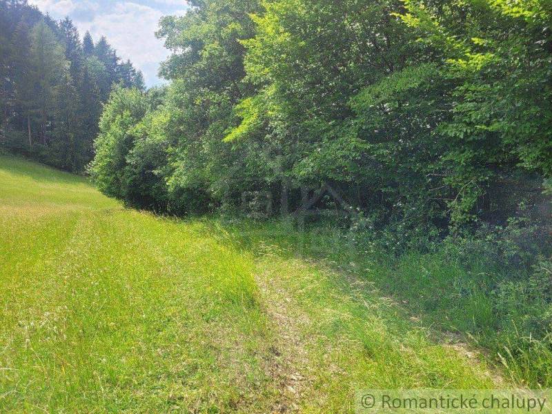 Forest land, grass, trees, and a road. Agricultural areas amidst nature.
