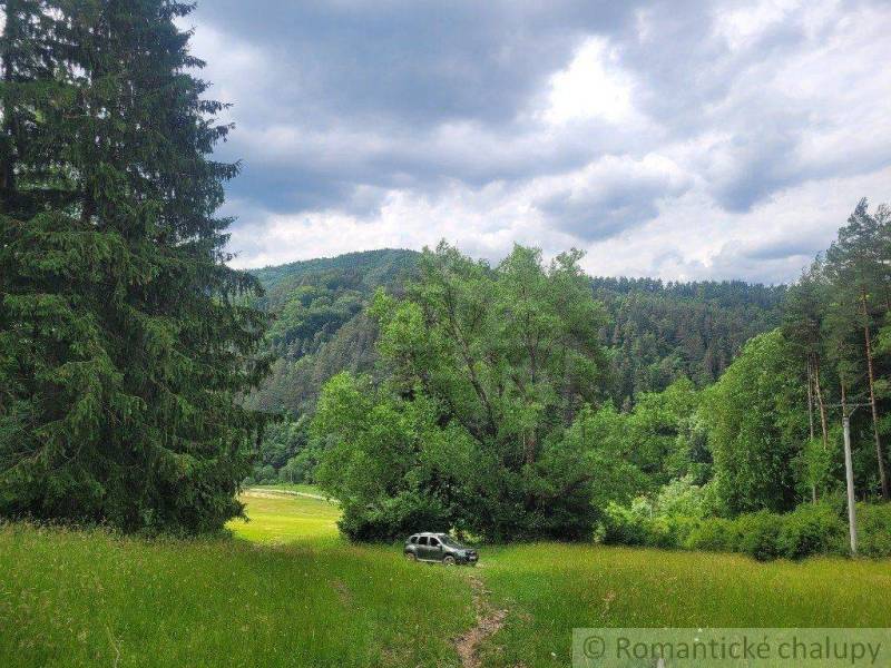 A meadow surrounded by forests, a car on agricultural and forest land under a cloudy sky.