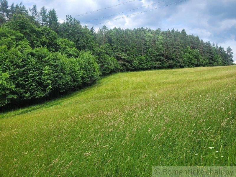 A wide meadow surrounded by dense forest, ideal for agricultural and forestry land.
