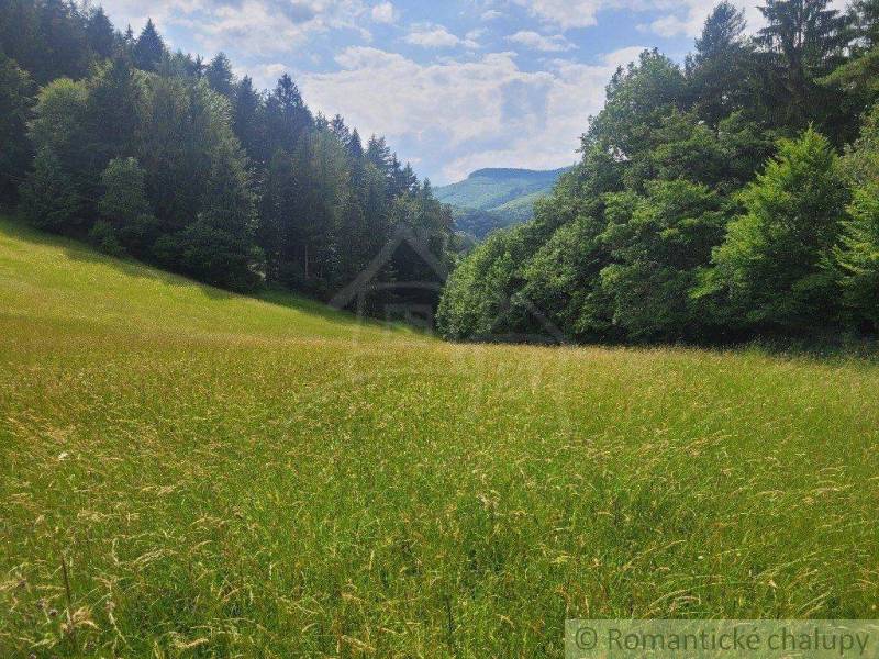 Beautiful meadows and forest stands, ideal for agricultural and forest land.