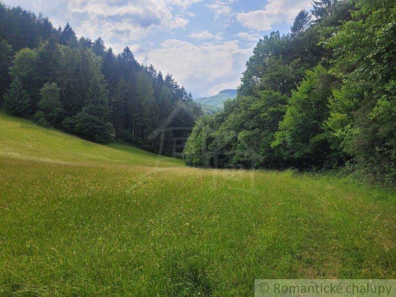 A green meadow surrounded by dense forests, ideal for agricultural and forestry land.