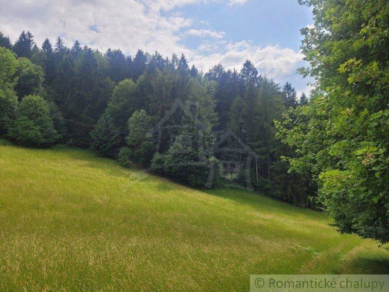 A green meadow surrounded by forest trees, ideal for agricultural and forestry land.
