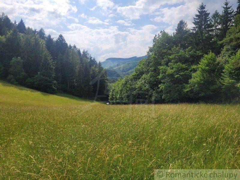 A meadow with agricultural and forest land surrounded by dense forest under a sunny sky.