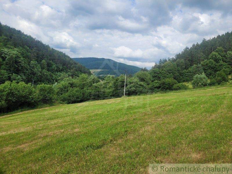 A green meadow surrounded by forest, ideal for agricultural and forestry land.