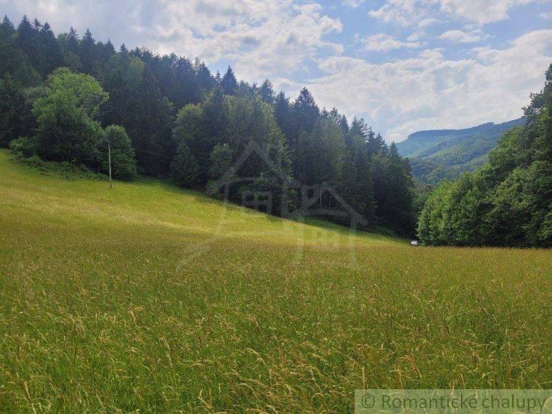 Beautiful meadow, surrounded by forests and hills, ideal for agricultural and forestry land.