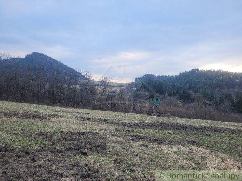 Meadow, forested hills and mountains in the background, a solitary hunting stand situated in nature.