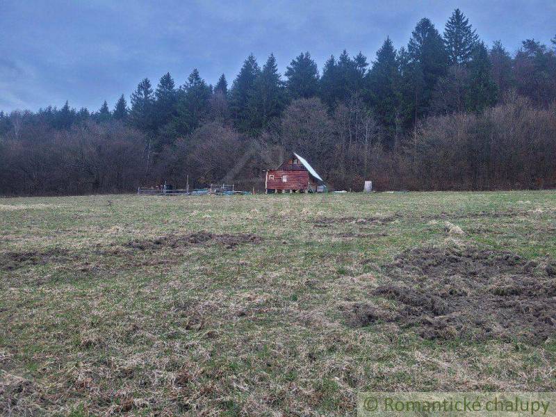 A country cottage surrounded by meadows and forest, an ideal place for relaxation in nature.
