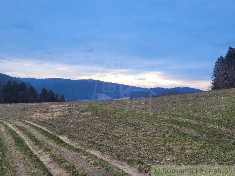A landscape with a sunset, meadow, and mountains; a fox is running there. Gardens in the background.