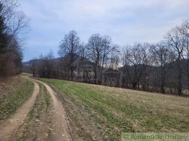 A country road runs alongside a field, surrounded by trees, ideal for relaxation in nature.