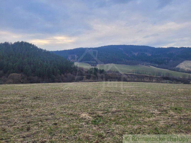 A wide meadow near the forest surrounded by hills, blue sky, an ideal place for gardens.