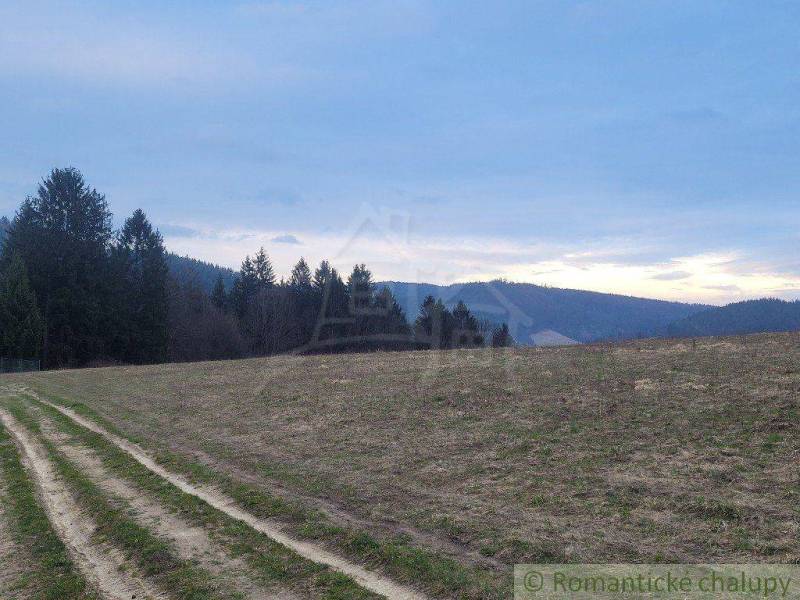 Fields and trees at the foot of the mountains, beautiful gardens in the natural landscape of the country.
